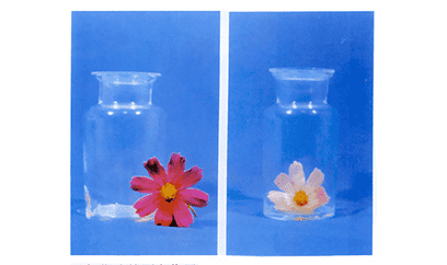 SHANGHAI HUAYUAN AIR PRODUCT CO.,LTD | Sulfur dioxide